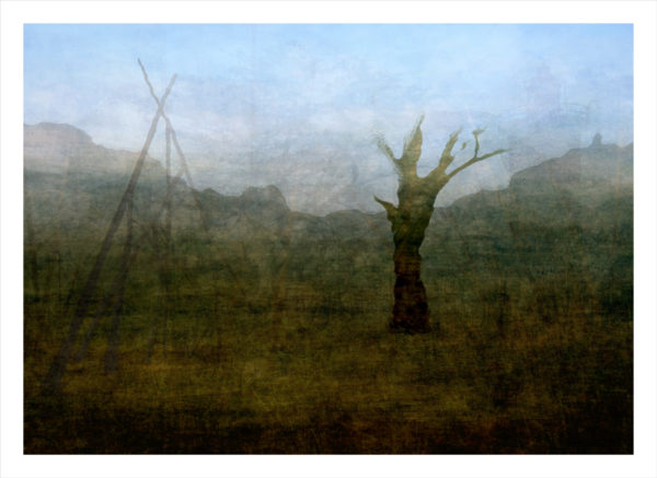 South African Landscape #2 (with sticks and stones) by AndrÃ© S Clements
